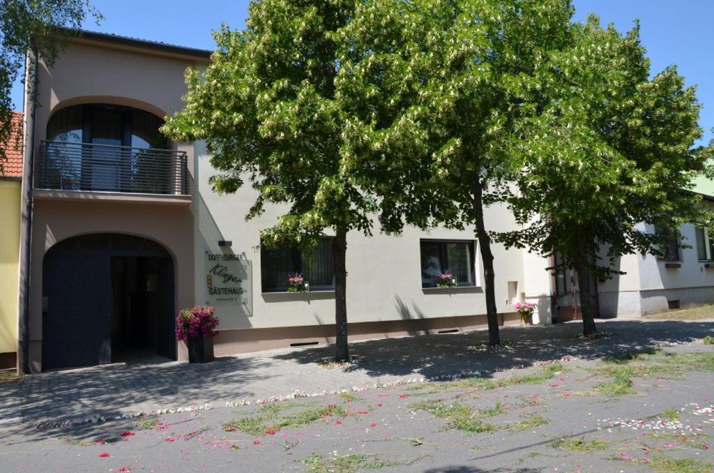 Gaestezimmer Klinger-Tongisch Apetlon Exterior photo